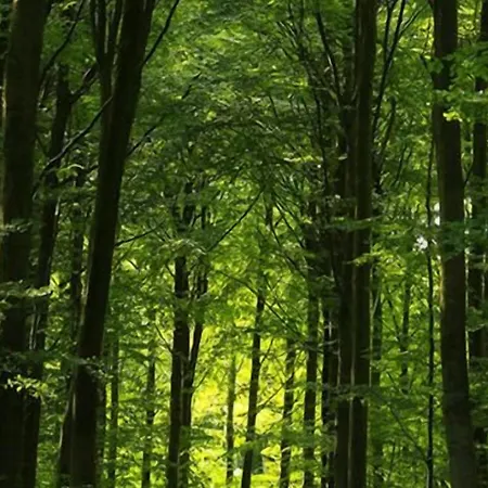 Bed & Breakfast Liseby 3*