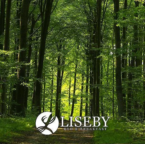 Frühstückspension Liseby 3*